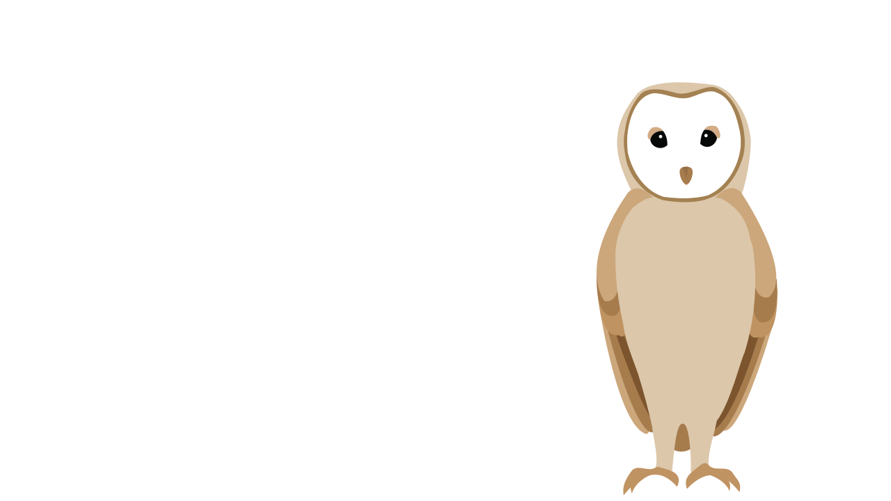 DIVA Owl